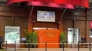 “6億円馬”が約20年間も不動の1位 セレクトセール高額馬ランキング