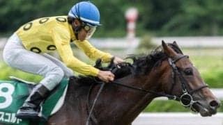 【七夕賞枠順確定】シリウスコルトは5枠8番、ドゥラドーレスは8枠15番