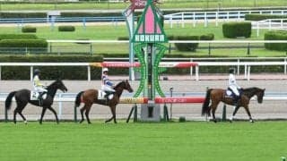 祖母は海外G1・3勝の名牝 マーシフルルーラーが待望のデビュー