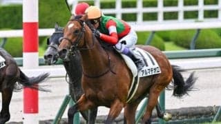 【北斗特別】半兄は名馬キタサンブラック アルマデオロが連勝なるか