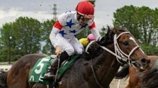 【小倉記念想定馬・騎手】ハピ、マイネルメモリーなど18頭