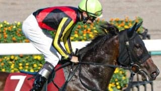 函館芝はコース巧者に注 エラトーが一変みせるか