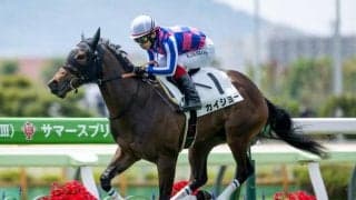 【函館2歳S想定馬・騎手】カイショー、ブラックチャリスなど10頭