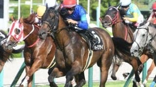 【今日の注目ポイント】芝のOP・安達太良Sと新馬ではソダシの半妹マルガがデビュー