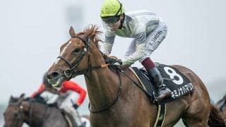 【五稜郭S】明確に差し有利の戦い ディープインパクト系は伏兵でも要注意