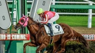 【釜山S】逃げ馬が好成績 穴でも狙いたい血統は？