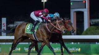 フォーエバーヤングが歴代最高127！JRA「2025年上半期JPNサラブレッドランキング」発表