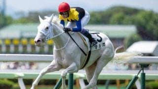 【函館5R新馬戦結果】ソダシの妹、白毛のマルガが武豊騎手とのコンビでレコード勝ち！