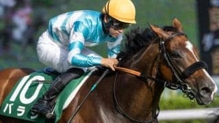 福島の芝中距離は末脚重視 バラジの差し切り期待