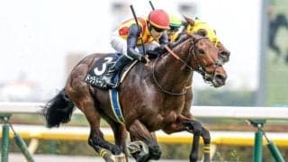 【七夕賞前日オッズ】ドゥラドーレスが3.3倍で1番人気