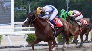 【高知・魚梁瀬杉特別】ザセンチュリーが高知転入後連勝！赤岡修次騎乗で初の準重賞制覇