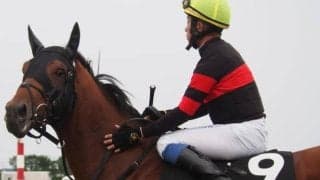 【巴賞】人気馬が堅実な傾向 好成績の血統は？