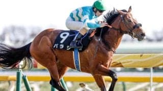 【七夕賞予想】福島の名物重賞は難解 1番人気は過去10年で1勝のみ