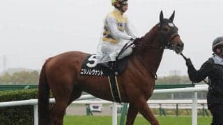 【競馬予想】100万馬券が期待できる七夕賞　ハンデに恵まれた伏兵２頭が高配当を演出か