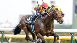 【七夕賞・馬体重】ドゥラドーレスは500kg(-2)、コスモフリーゲンは502kg(±0)