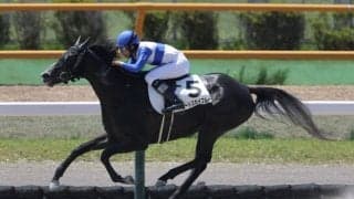 【函館4R】ウインブライト産駒 ロードスカイブルーが7馬身差圧勝