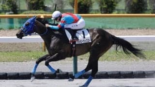 【函館2R】横山武史騎乗 ハッピーウィズユー快勝