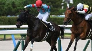 【JRA・WIN5】本日のWIN5は的中21票、配当2207万6630円