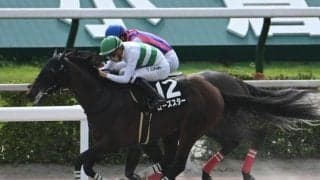 【阿蘇S結果】5番人気ローズスターが競り合いを制しオープン初V