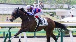 【函館2歳S】カイショー、ブラックチャリスらが登録