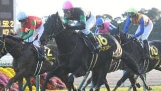 開催最終日に小倉記念と函館2歳S/今週の競馬界の見どころ