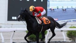 【高知競馬】永森大智騎手が地方通算2500勝達成