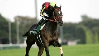 2歳重賞勝ち馬史上最大の馬体減 “-22kg”で制したアンブロワーズの函館2歳S