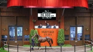 【セレクトセール2025】上場番号1番コントレイル産駒は2億6000万円で落札…セレクトセールが開幕