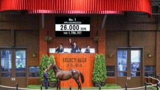 【セレクトセール2025】窪田俊介氏「この馬が一番いいかなと思っていた」 上場番号1番「メチャコルタの2024」に2億6000万円