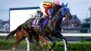 【大井・サンタアニタT枠順】さきたま杯4着のティントレットは4枠4番