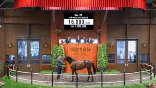 【セレクトセール2025】“ホウオウ”の小笹芳央氏がアドマイヤリード半弟を1億6000万円で落札 「2000mまでもったらいいなと」