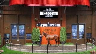 【セレクトセール2025】犬塚悠治郎氏「この馬でクラシックに」 ブルックデイルの2024を1億2000万円で落札