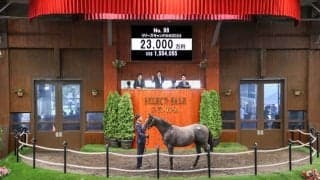 【セレクトセール2025】父はキズナ×母が仏G1馬の「リリーズキャンドルの2024」は2.3億円 米原恭淳氏「この仔と決めていた」