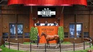 【セレクトセール2025】阿部雅英氏オーナー「これでシャンパンを開けられます(笑)」 ラビットランの2024を3.2億円で落札  　