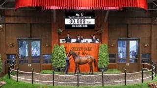 【セレクトセール2025】フォーエバーヤング半弟は3億円で落札 矢作師「芝でもいけるのではないか」 