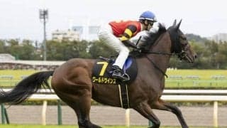 【先週のJRA抹消馬】24年六甲Sで2着のワールドウインズ、障害で活躍したパトリックなど