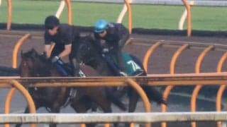 クロノジェネシスの初仔ベレシート 斉藤崇師「体は立派で体型は母似」/関西馬メイクデビュー情報