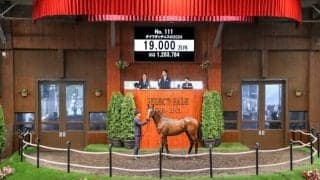 【セレクトセール2025】“べラジオ”林田祥来氏がダイワダッチェスの2024を1.9億円で落札 オーナー関係者「三冠馬になってほしい」