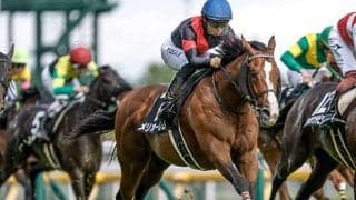 【小倉記念想定騎手】メリオーレムは川田将雅騎手、ハピは坂井瑠星騎手