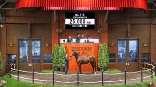 【セレクトセール2025】2.5億円のコントレイル産駒 「イスパニダの2024」を落札した阿部雅英氏「まずは無事にデビューを」