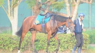 叔母にGI・4勝のラッキーライラック 日曜福島で初陣迎えるポルフュロゲネトス/関東馬メイクデビュー情報