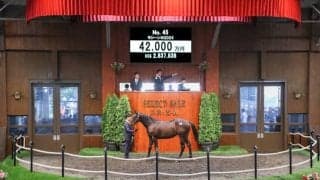 【セレクトセール2025】1歳部門の落札額トップ3はすべてキタサンブラック産駒 最高額は「モシーンの2024」で4億2000万円