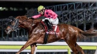 【大井・優駿スプリント枠順】トライアルを制したリオンダリーナは6枠12番、無傷5連勝中のブライトフラッシュは3枠5番