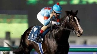 【セレクトセール2025】「リザーブ価格1億円」イクイノックス、タイトルホルダーやシュネルマイスターの初年度産駒が登場　15日当歳セッション