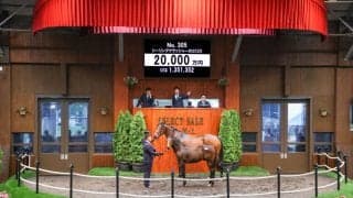 【セレクトセール2025】エピファネイア産駒に2億円