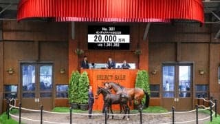 【セレクトセール2025】当歳セリスタートでいきなり2億超え！キタサンブラック産駒