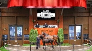 【セレクトセール2025】イクイノックス産駒の1頭目 「キャンプロックの2025」は2億3000万円で金子真人HDが落札