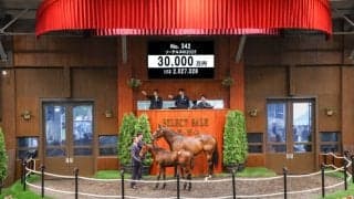 【セレクトセール2025】良血フランケル産駒に3億円…グランド牧場生産