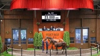 【セレクトセール2025】小倉大賞典Vのエピファニー全弟に2億3000万円