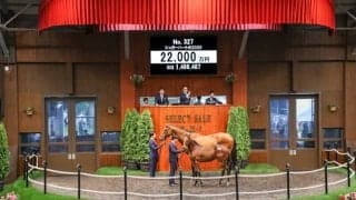 【セレクトセール2025】矢作師「目標はダービー」 2.2億円で落札されたキタサンブラック半弟に期待語る